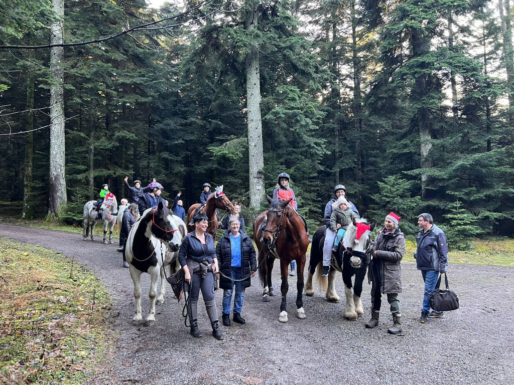 2023 12 Dezember 654